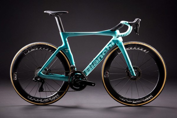 Arkea-bianchi